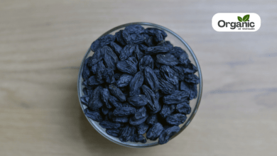 Black myrobalan Benefits and Uses allwellhealthorganic