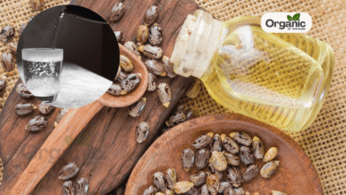 Castor Oil With Warm Water Benefits Before Breakfast Allwellhealthorganic