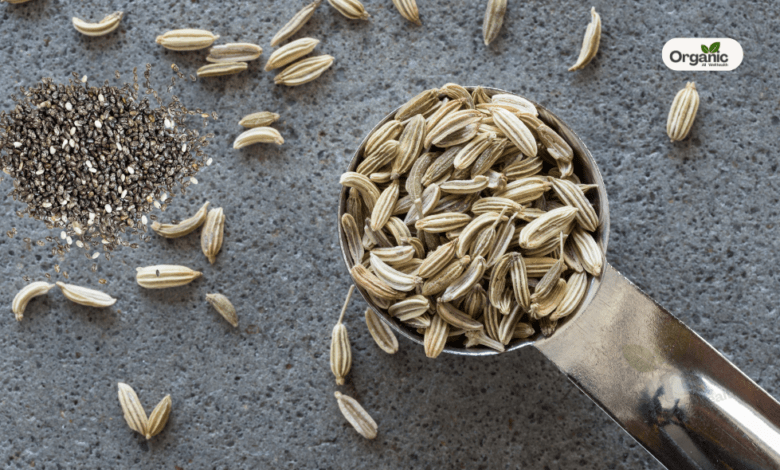 Fennel To Chia Seeds Allwellhealthorganic