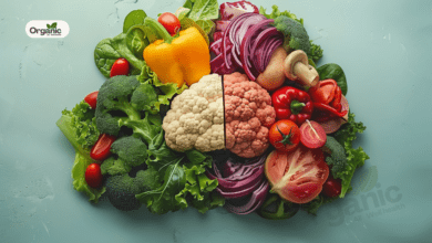 Functional Foods for brain Allwellhealthorganic
