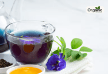 Health Benefits of Shankhpushpi Tea