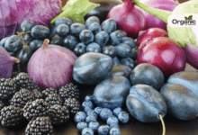 High Cholesterol Control Tips Allwellhealthorganic (1)