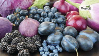 High Cholesterol Control Tips Allwellhealthorganic (1)