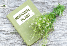 Himalayan Medicinal Plants
