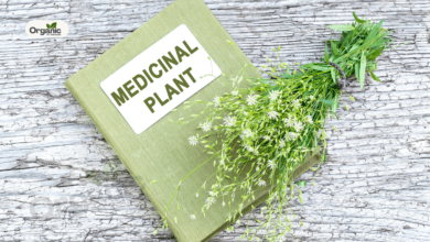 Himalayan Medicinal Plants