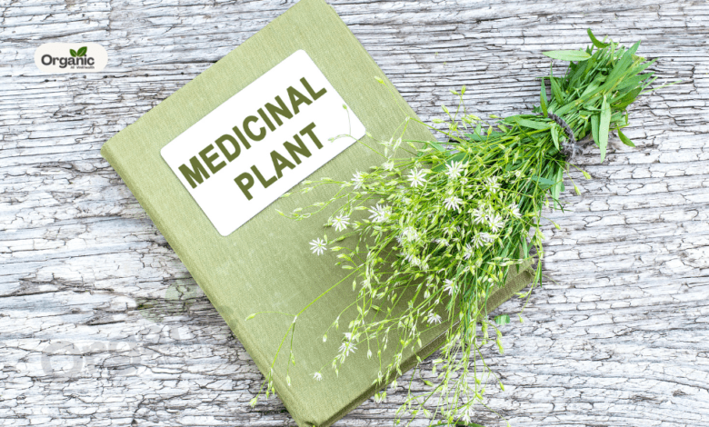Himalayan Medicinal Plants