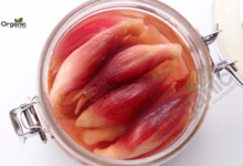Himalayan Rhubarb Benefits and Uses allwellhealthorganic