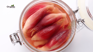 Himalayan Rhubarb Benefits and Uses allwellhealthorganic