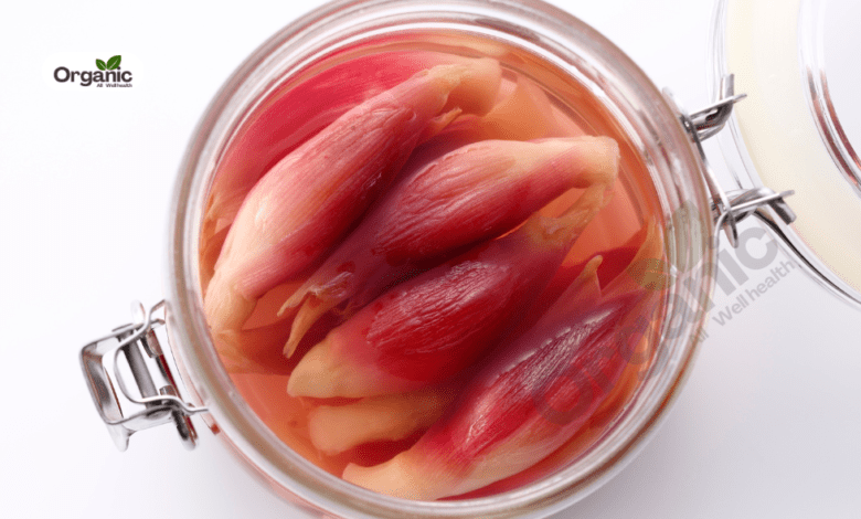 Himalayan Rhubarb Benefits and Uses allwellhealthorganic