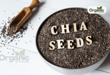 How To Use Chia Seeds For Weight Loss 6 Easy Recipes To Lose Belly Fat Naturally Allwellhealthorganic