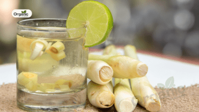 Lemongrass Tea On Empty Stomach Allwellhealthorganic