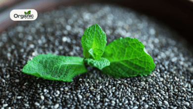 Medicinal Uses Of Chia Leaves Allwellhealthorganic