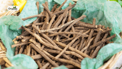 Mulethi Water Medicinal Benefits Allwellhealthorganic