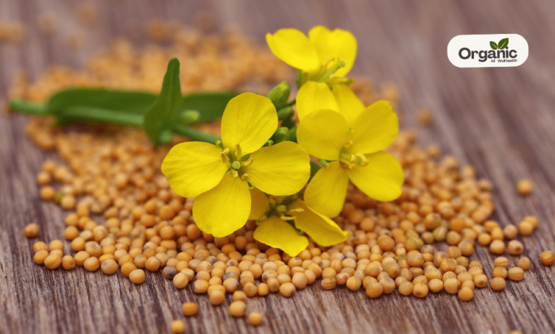 Mustard Leaves Medicinal Benefits Allwellhealthorganic