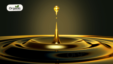 Mustard Oil Benefits Allwellhealthorganic