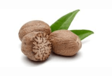 Nutmeg Benefits and Uses allwellhealthorganic