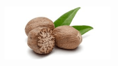 Nutmeg Benefits and Uses allwellhealthorganic