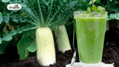 Radish Leaves Juice Medicinal Benefits Allwellhealthorganic
