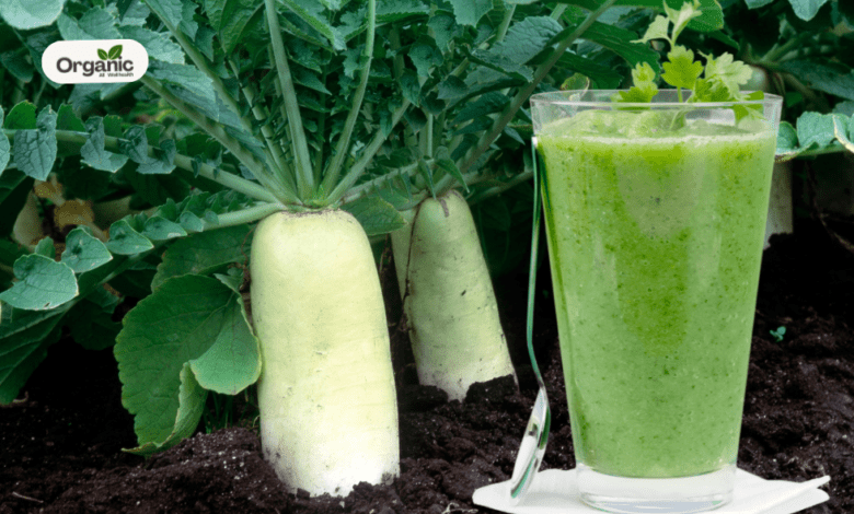 Radish Leaves Juice Medicinal Benefits Allwellhealthorganic