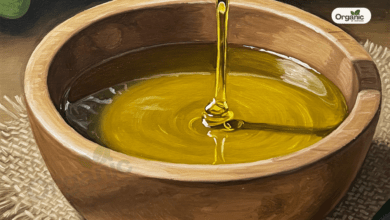 What Happens When You Put Castor Oil On Your Belly Button Allwellhealthorganic (1)