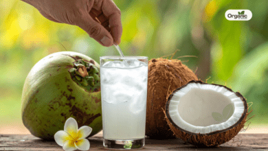 When Is the Best Time To Drink Coconut Water Allwellhealthorganic