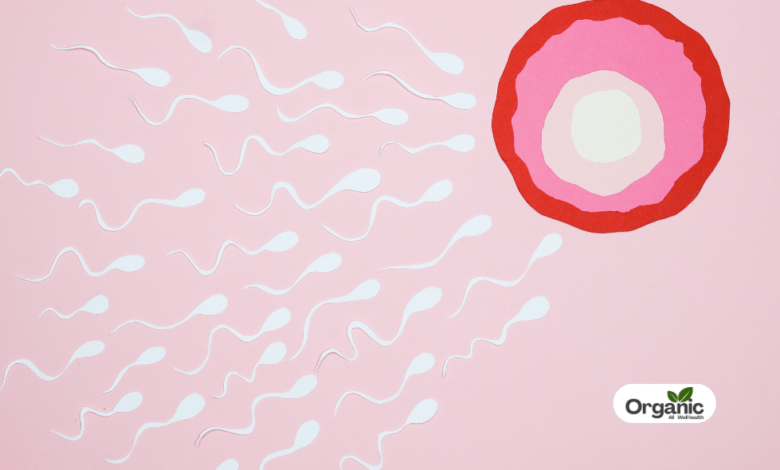5 ways to battle low sperm count Allwellhealthorganic
