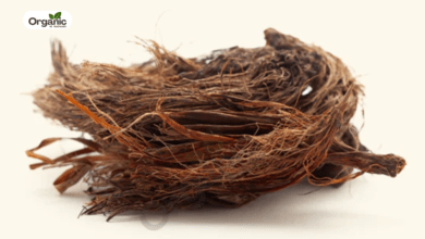 Jatamansi Benefits and Uses allwellhealthorganic