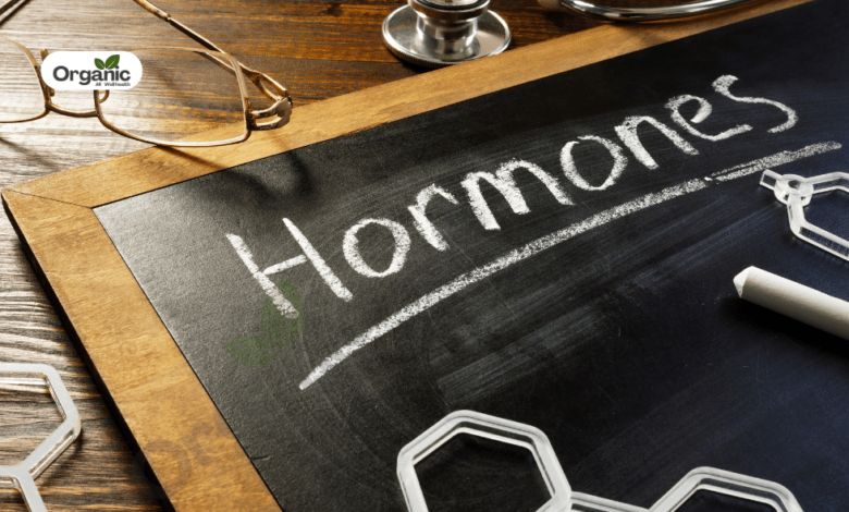 Male Hormone Imbalance Allwellhealthorganic