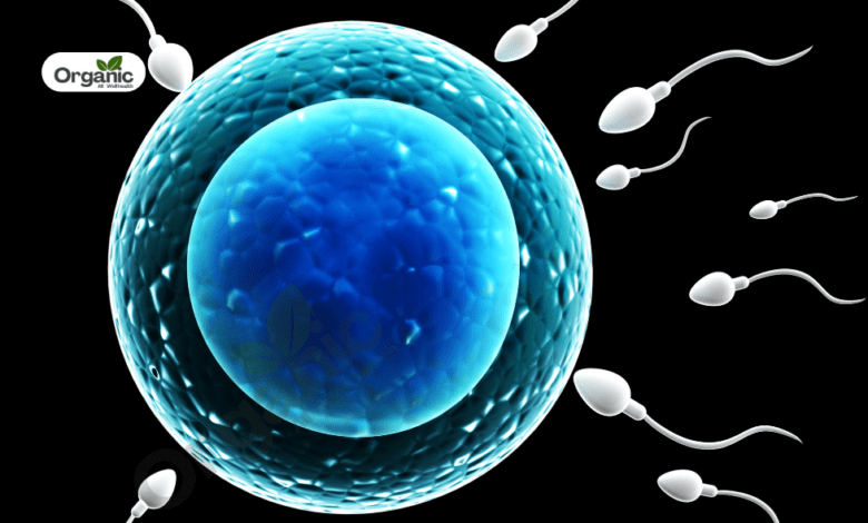 Sperm Health Allwellhealthorganic