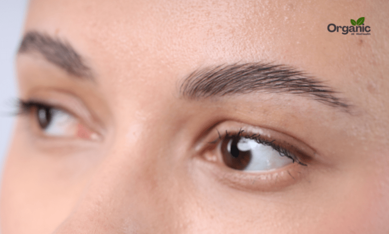 Winter Dryness to Summer Oily Skin