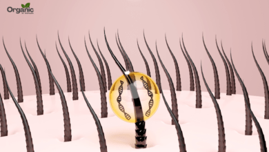 Blocked Hair Follicles Allwellhealthorganic