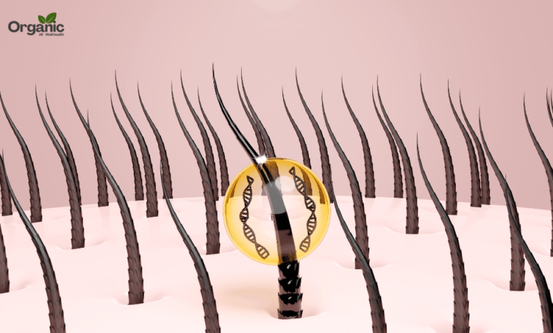 Blocked Hair Follicles Allwellhealthorganic