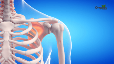 Bone Cancer Symptoms Allwellhealthorganic
