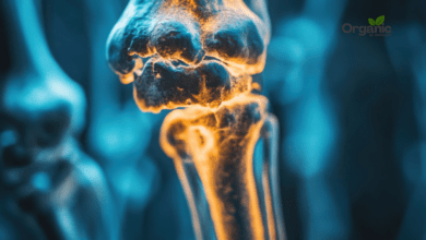 Bone Health Allwellhealthorganic