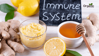 Immunity in Winter Allwellhealthorganic