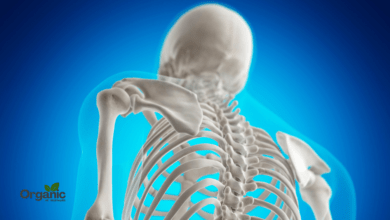 Secrets Of Bone Health Allwellhealthorganic