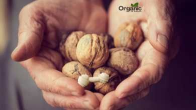 Walnut Benefits Allwellhealthorganic
