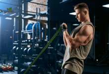 Best Exercises for Arms Allwellhealthorganic