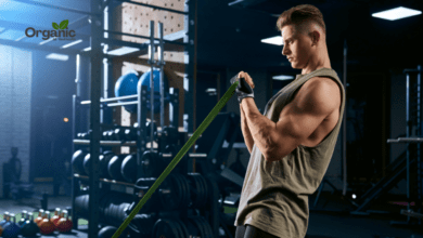 Best Exercises for Arms Allwellhealthorganic