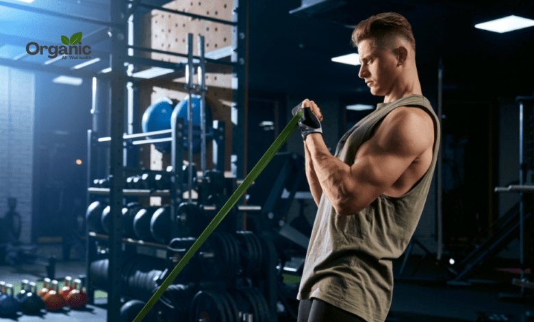 Best Exercises for Arms Allwellhealthorganic