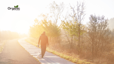 Mental Benefits of Walking Allwellhealthorganic