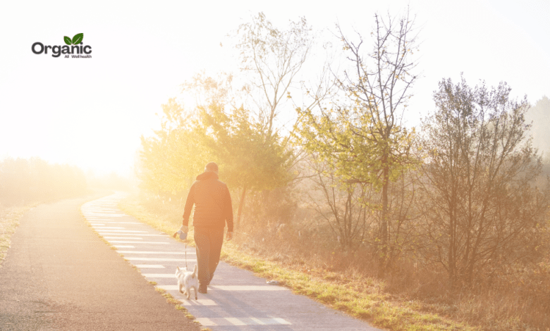 Mental Benefits of Walking Allwellhealthorganic