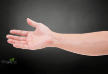 Lose Arm Fat Allwellhealthorganic