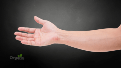 Lose Arm Fat Allwellhealthorganic