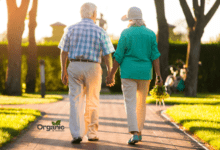 Health Benefits of a Morning Walk Allwellhealthorganic