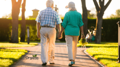 Health Benefits of a Morning Walk Allwellhealthorganic