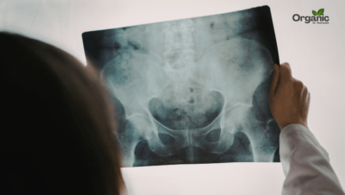 Pelvic Pain पेल्विक दर्द Allwellhealthorganic