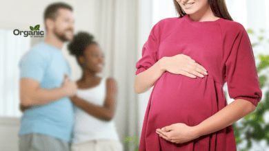 Sexual Surrogacy Allwellhealthorganic