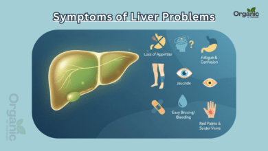 Symptoms of Liver Problems Healthy life Wellhealthorganic Allwellhealthorganic Lifestyle