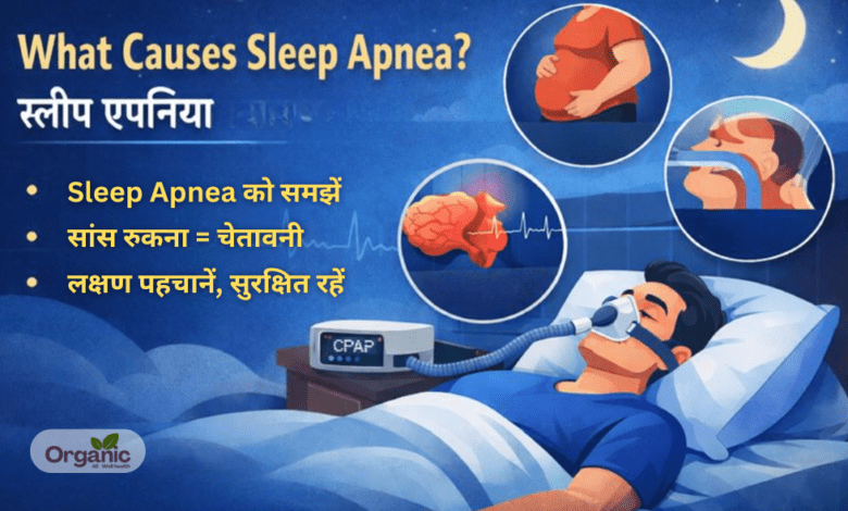 What Causes Sleep Apnea Healthy life Wellhealthorganic Allwellhealthorganic Lifestyle
